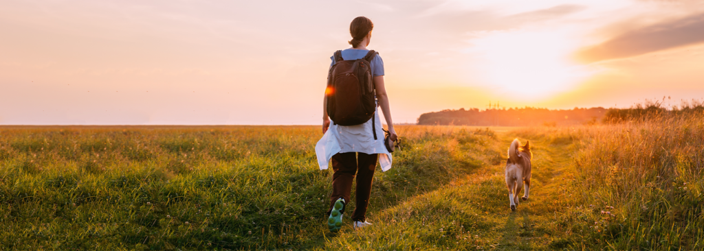 Descubre los mejores consejos para pasear a tu perro