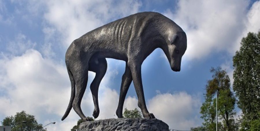 estatua-del-perro-callejero mejico