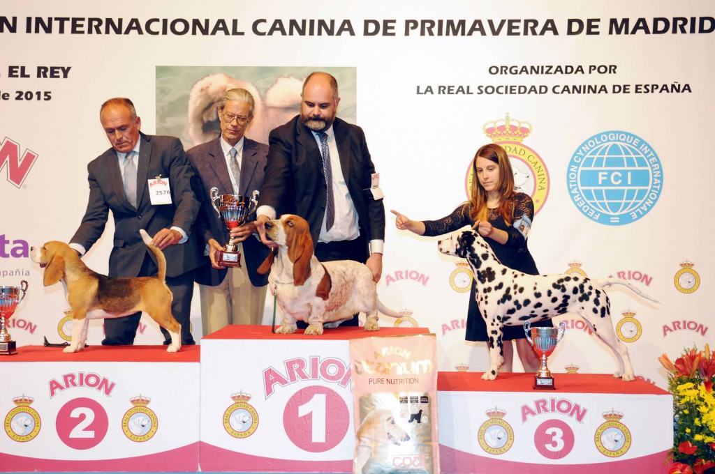 premios concurso belleza canina
