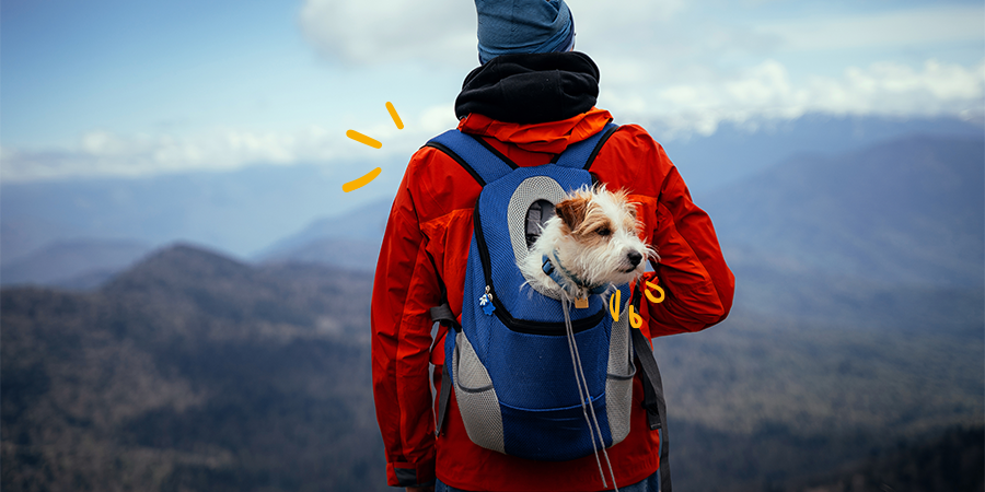 Mochilas y bolsas de viaje para transportar a tu perro