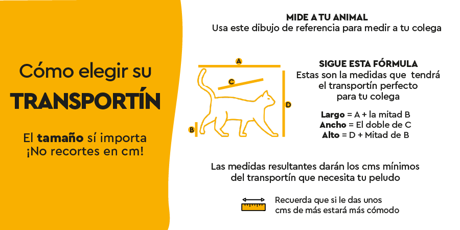 Cómo elegir el transportín de tu gato