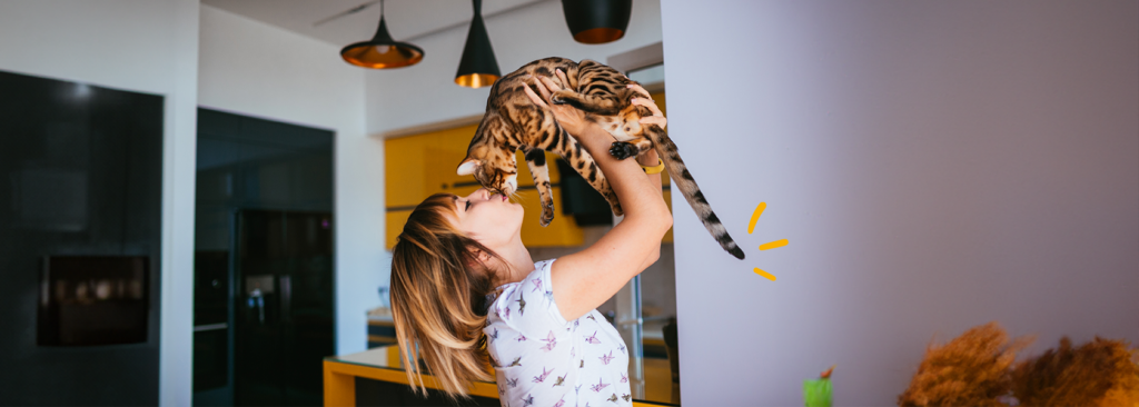 Descubre que hacer con tu gato si te vas de vacaciones