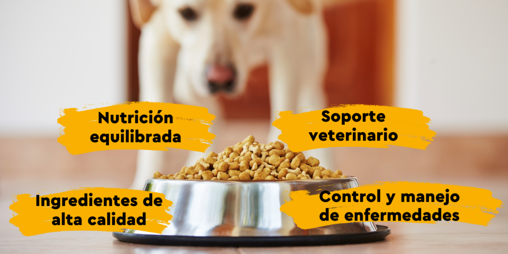Beneficios de las dietas veterinarias