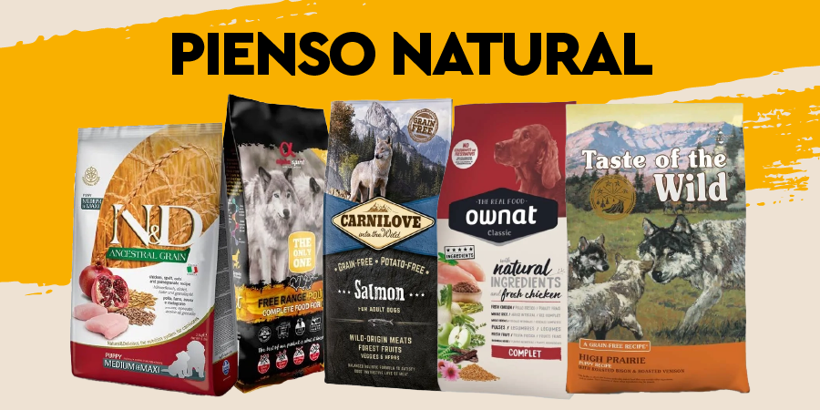 Elige el mejor pienso natural para tu perro