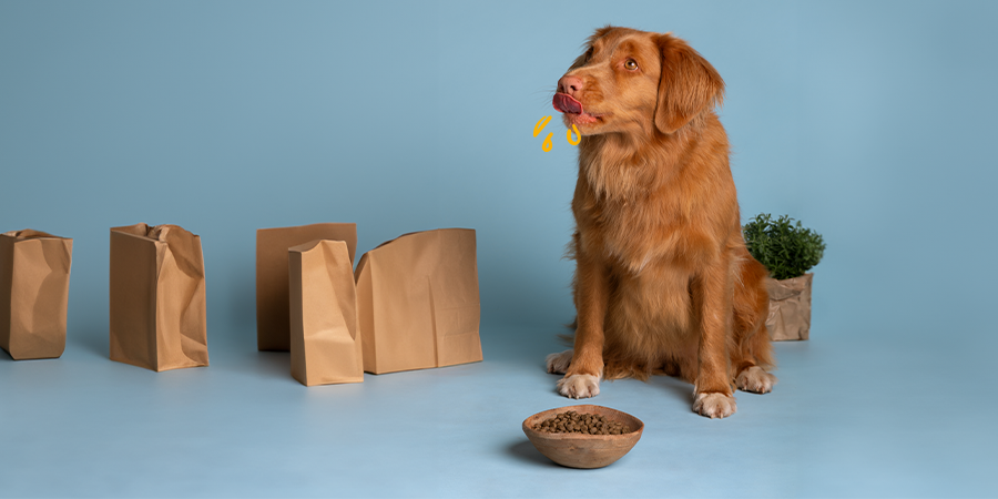 Cantidad de pienso para perros 