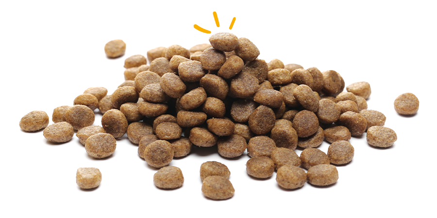 Cuando utilizar pienso grain free para perros