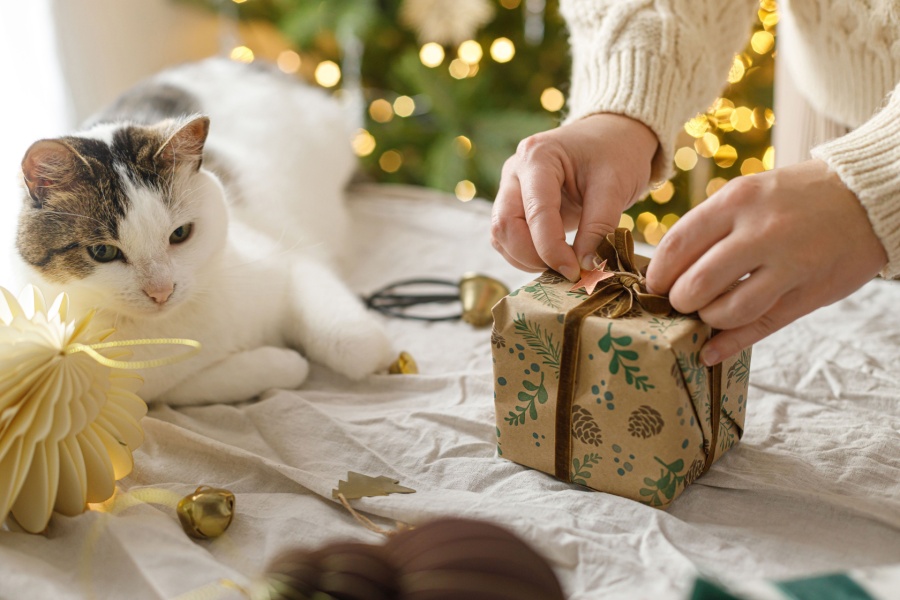 Gato tumbado Navidad