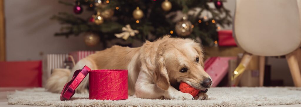 Los mejores regalos de Navidad para perros