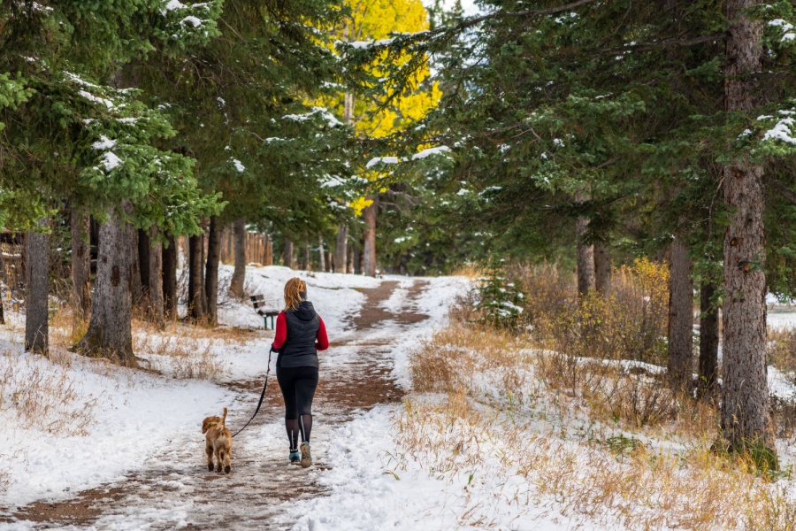 Mujer paseando perro por un sendero nevado