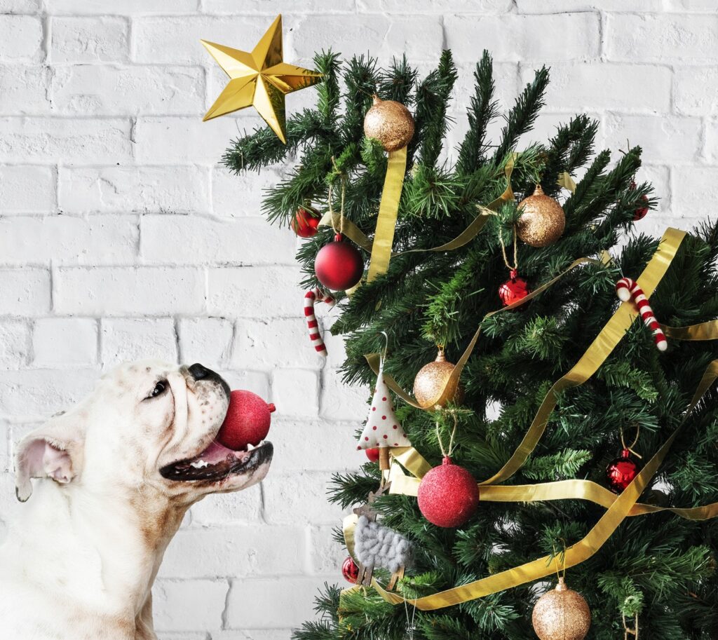 Bulldog árbol de navidad